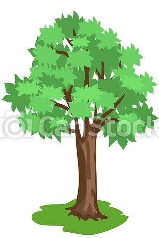 Коричневый, brunches, широкий, дерево, зеленый, хобот. Коричневый, стиль,  земельные участки, сюжет, brunches, широкий, дерево | CanStock